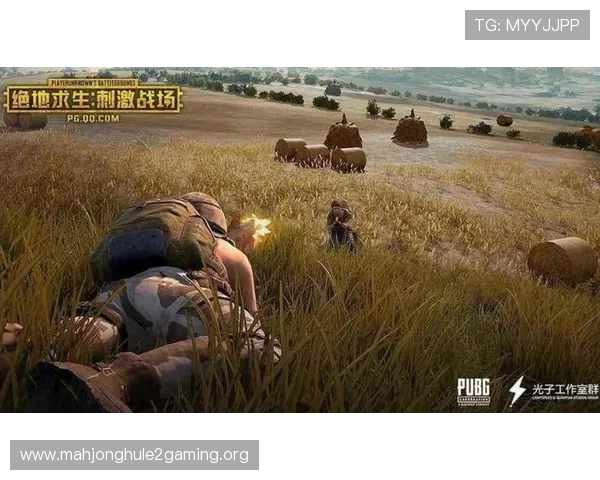 PG国际网游戏攻略大全帮助新手快速上手高效提升技巧