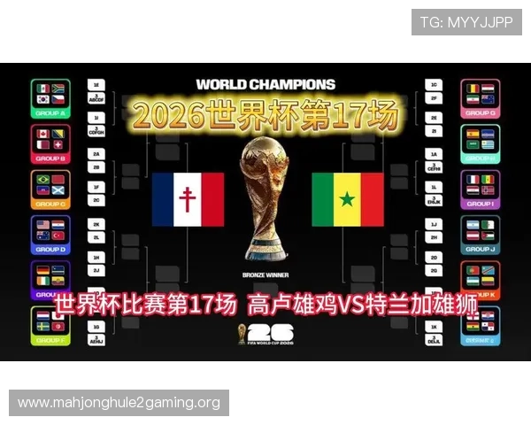 2026年世界杯法国对阵塞内加尔比赛场地详细位置及相关交通指南